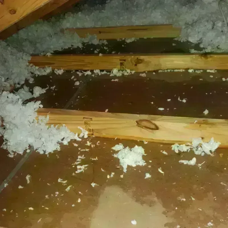 Attic Water Damage in Etowah, NC