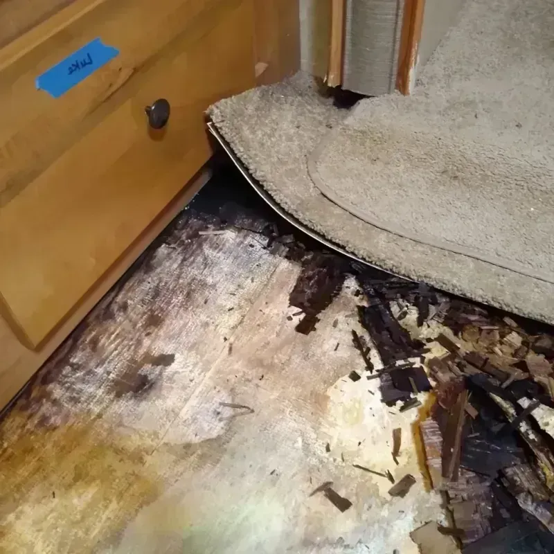 Best Wood Floor Water Damage Service in Etowah, NC